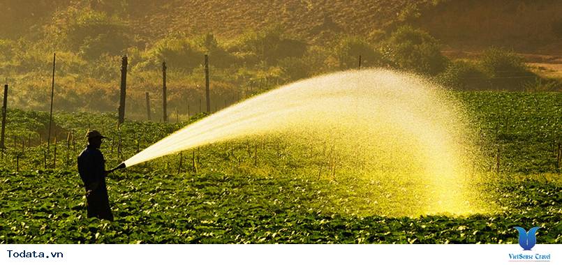 Tây Nguyên - Buôn Ma Thuột - Pleiku - KonTum 4 Ngày - Ảnh 3